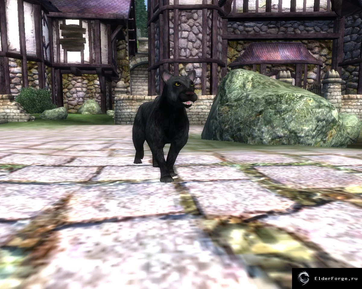 Обложка мода: Живые коты Oblivion Cats — The Elder Scrolls IV: Oblivion