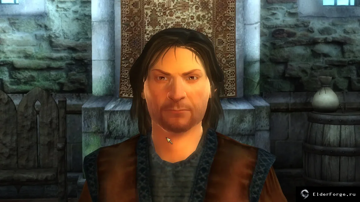 Обложка мода: Character Overhaul Oblivion — совместимая версия