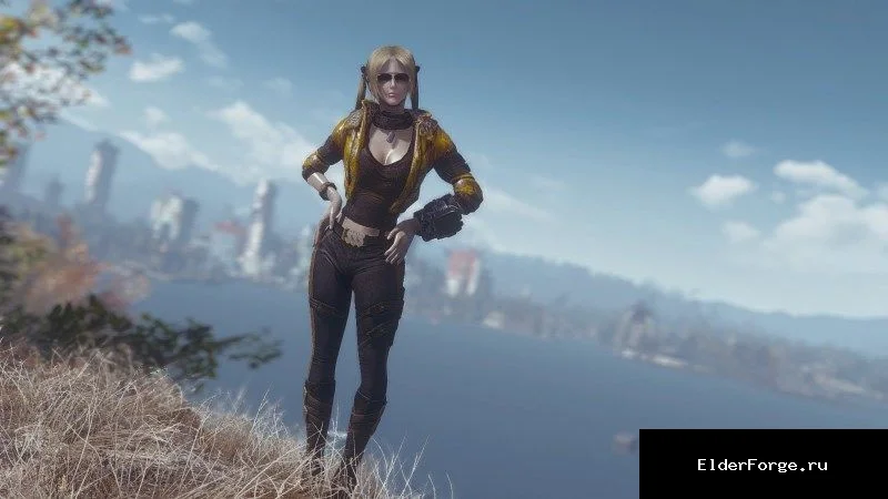 Обложка мода: Одежда из AVA для Fallout 4 – стильный набор от Lena_67