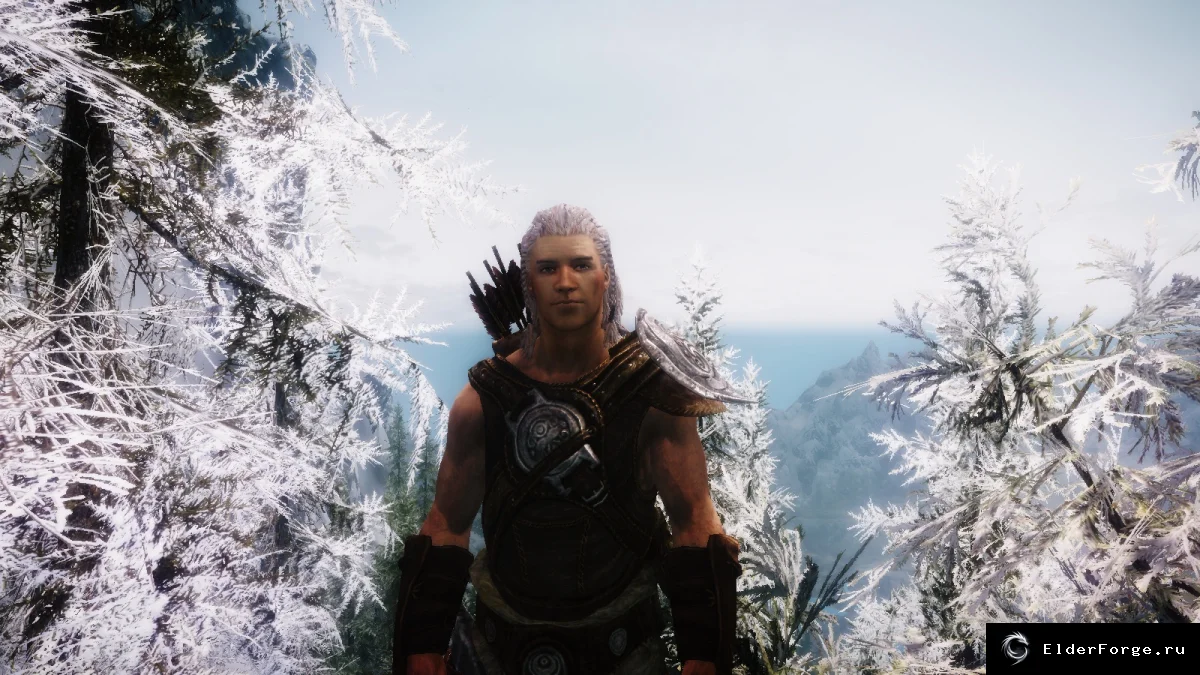 Обложка мода: Одвар Хмельной — полностью озвученный компаньон для Skyrim LE