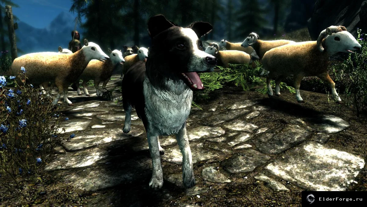Обложка мода: Овечьи стада Skyrim LE — новые пастбищные стада