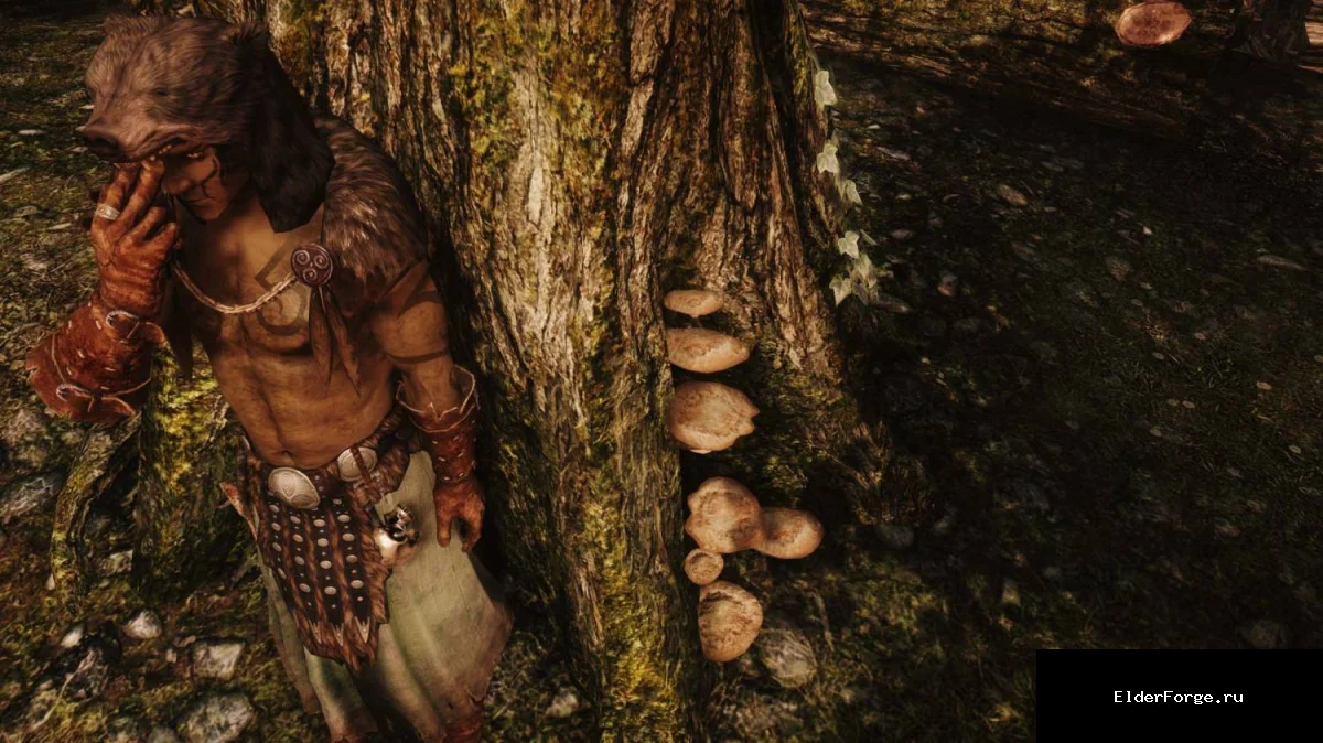 Обложка мода: Пакет новой брони от luddemann для Skyrim Legendary Edition — бард, фалмерский маг и шаман