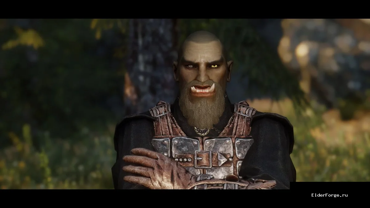 Обложка мода: Pandorable's NPCs Special Edition — обновлённые персонажи Dawnguard для Skyrim SE/AE