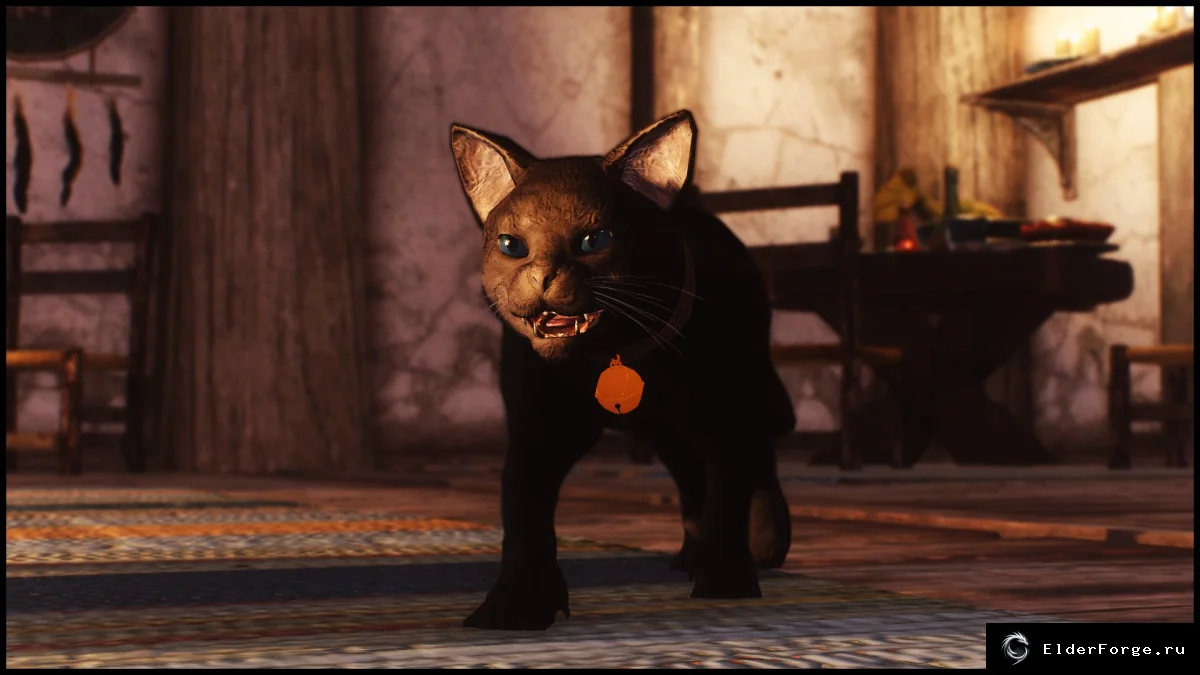 Обложка мода: Питомцы Skyrim LE: кошки, собаки, кролики и волк