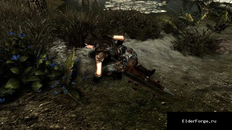Обложка мода: Полевой медик для Skyrim SE – лечение компаньонов в бою