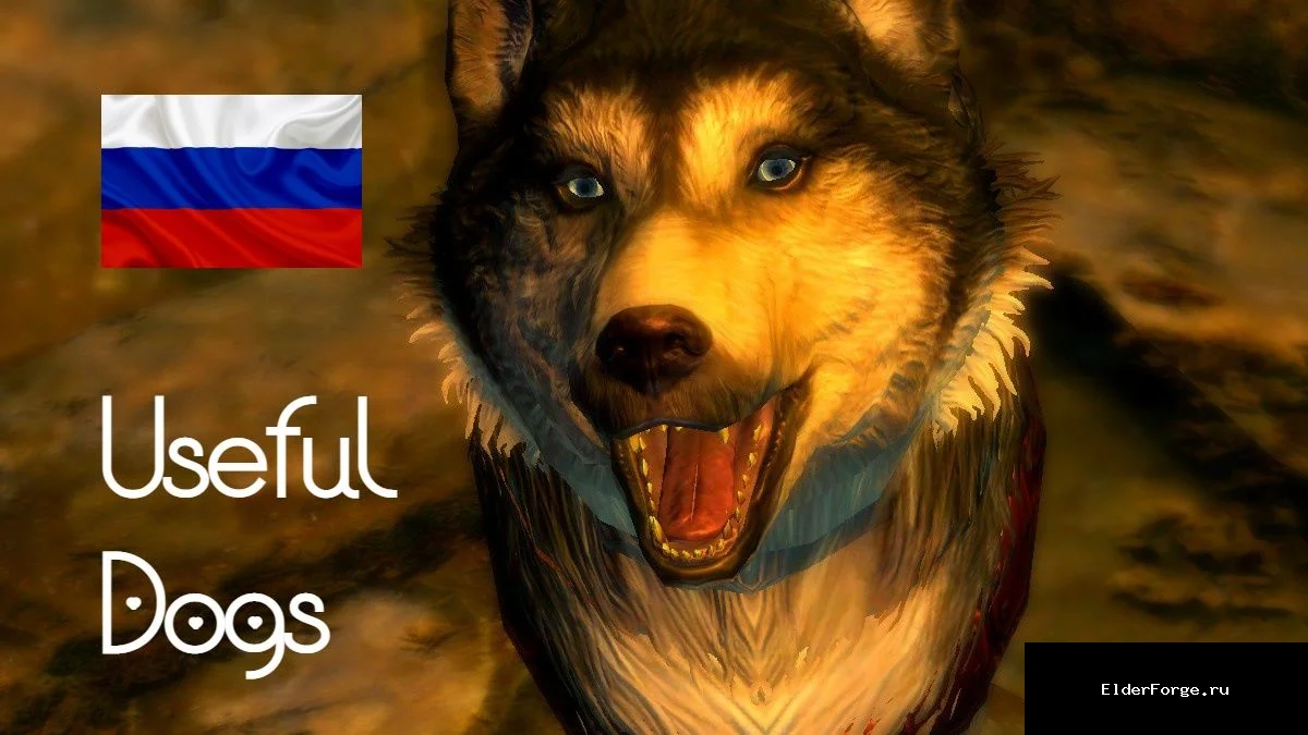 Обложка мода: Полезные собачьи помощники – мод для Skyrim SE и AE
