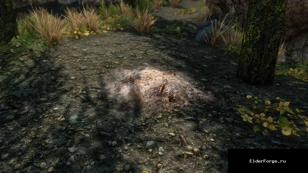 Обложка мода: После смерти вампира – пепел в Skyrim SE