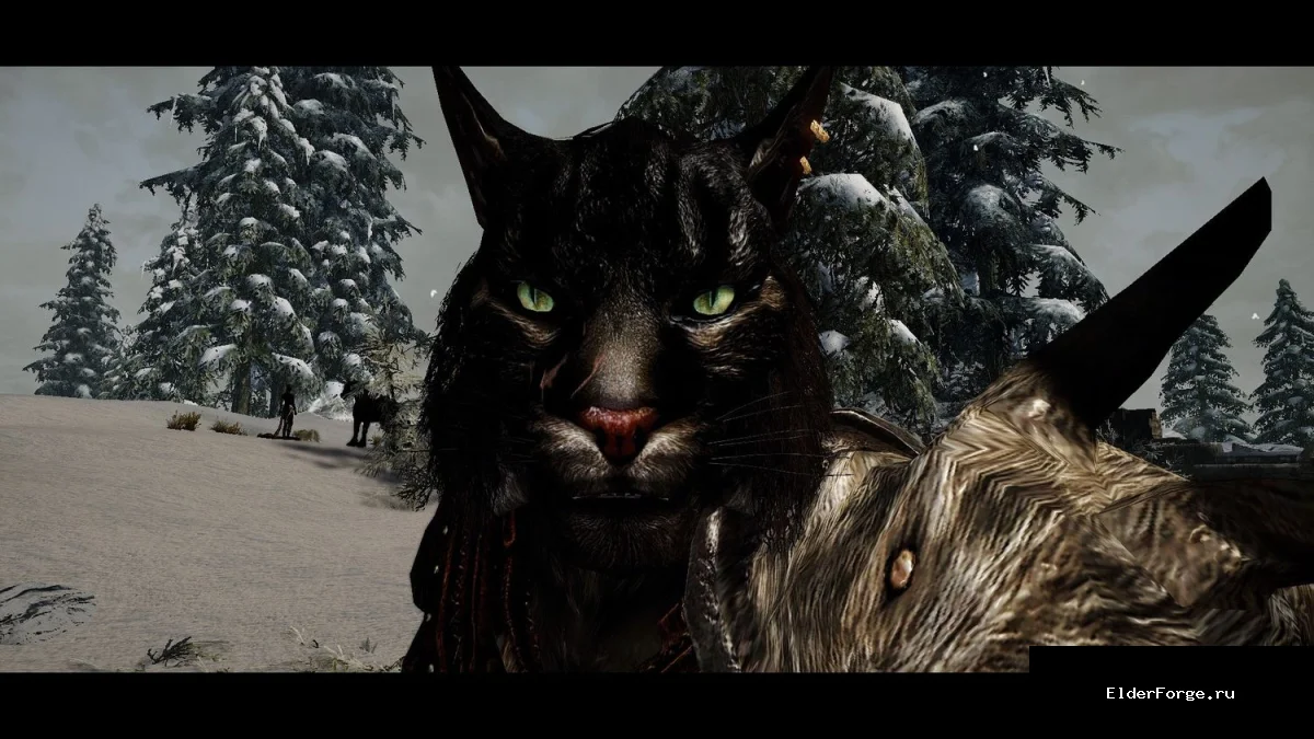 Обложка мода: Ра'Джар — новый каджит‑спутник для Skyrim Legendary Edition