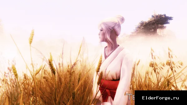 Обложка мода: Райверра — пресет персонажа Тёмного эльфа для Skyrim LE