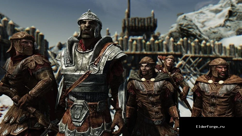 Обложка мода: Разнообразный Skyrim LE – новые расы во всех фракциях