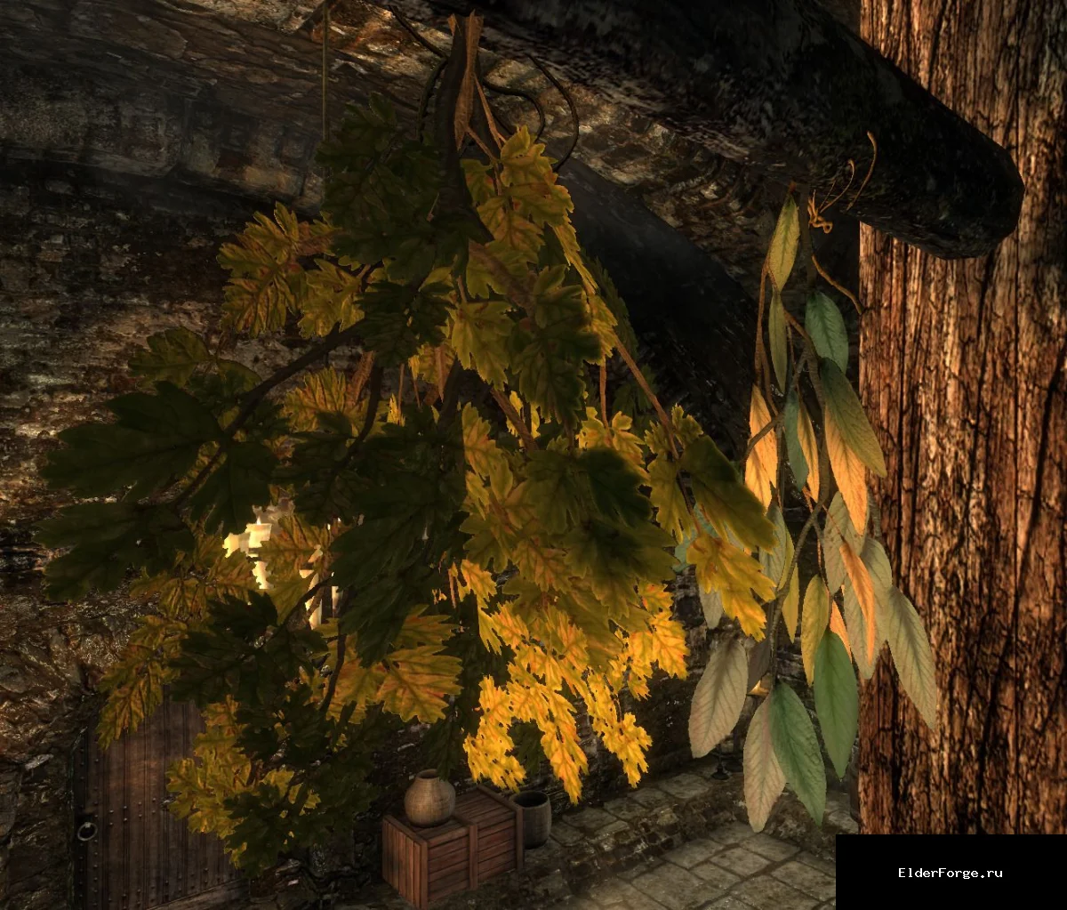 Обложка мода: Реалистичные травы HD для Skyrim Legendary Edition – улучшенные текстуры