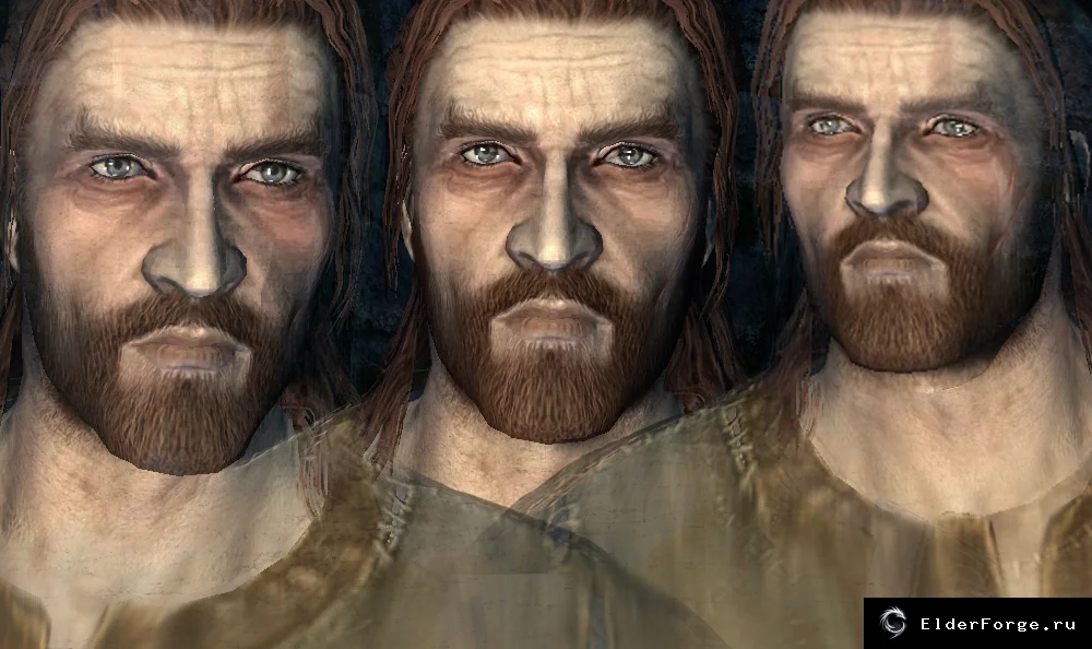 Обложка мода: Reid Molony — норд без излишней бледности кожи для Skyrim LE