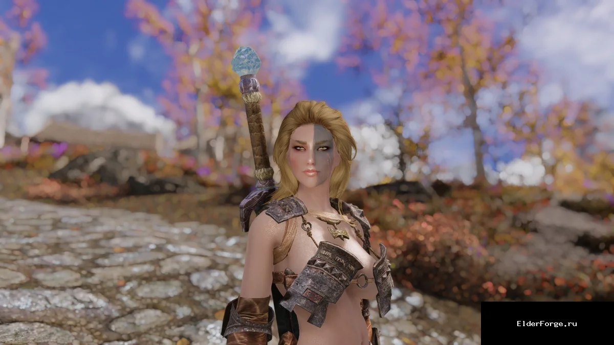 Обложка мода: Replacer лица Мьол – My War Maiden Mjoll без ESP для Skyrim LE