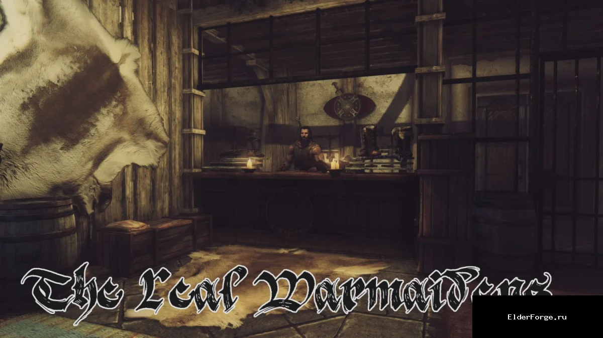 Обложка мода: Реплейсер интерьера магазина «Дом воительницы» для Skyrim LE