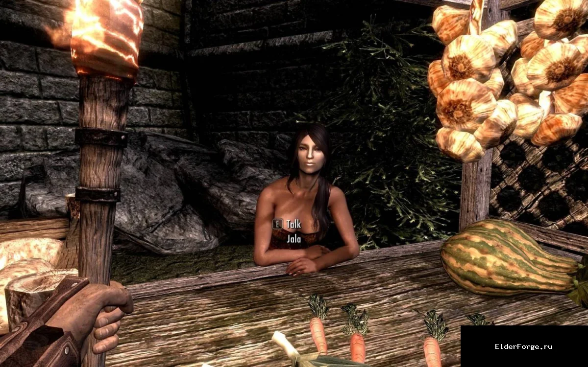 Обложка мода: Реплейсер женской внешности в Солитьюде для Skyrim LE