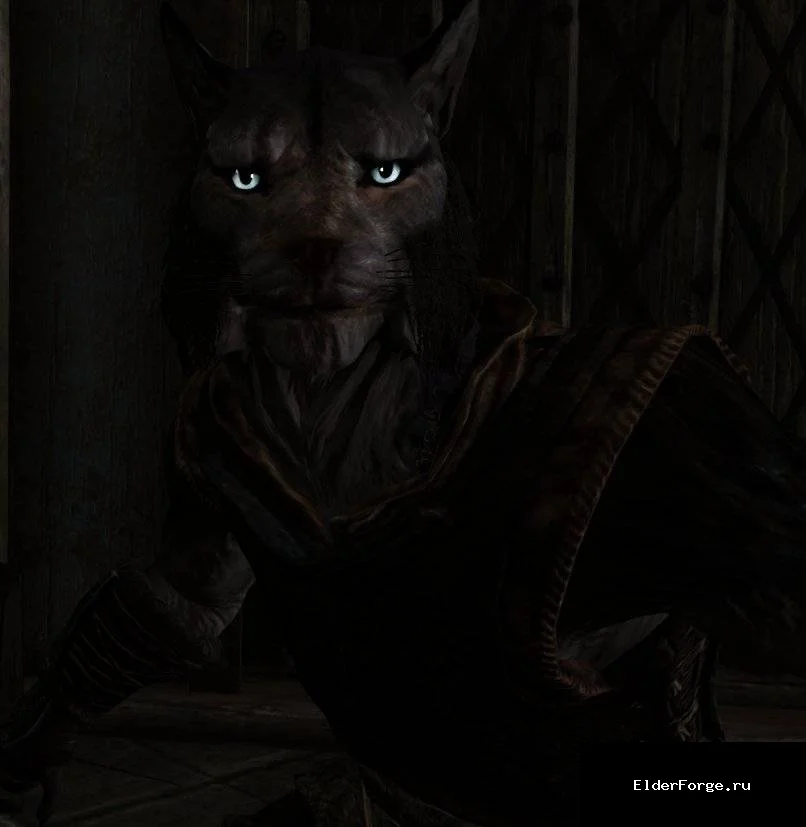 Обложка мода: Ретекстур глаз Каджитов для Skyrim Legendary Edition – яркие и реалистичные
