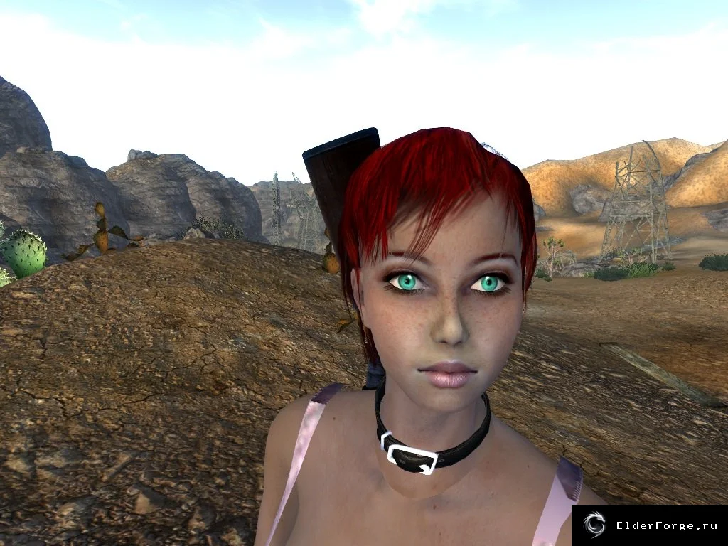 Обложка мода: Rivens Eyescapes: Новые глаза для FNV