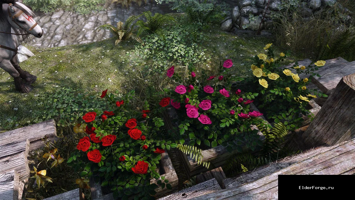 Обложка мода: Розы Памяти из Ведьмака 2 для Hearthfire – Skyrim SE-AE