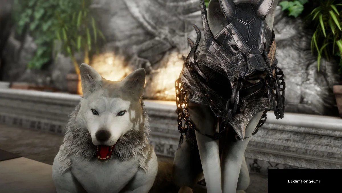 Обложка мода: [SE] Black Desert Husky Replacer – замена хаски в Skyrim SE/AE