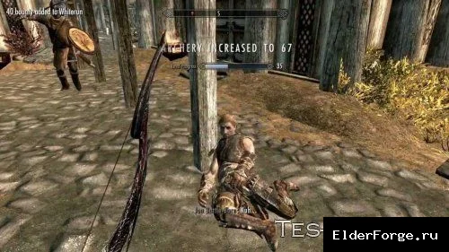 Обложка мода: Skyrim LE – Лучший .ini‑файл для слабых ПК: отключение графики и повышение FPS