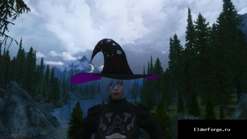 Обложка мода: Шляпа Ведьмы с HDT физикой — HDT Witch Hat LE