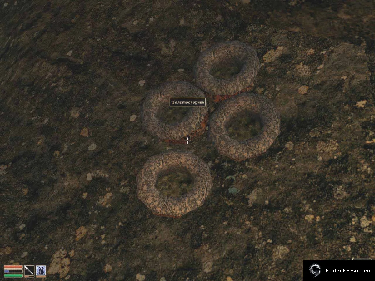 Обложка мода: Spore Bug Fix – Добавление Толстоспорника в забытые пещеры Morrowind
