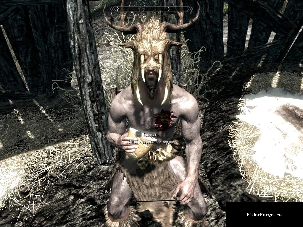 Обложка мода: Спутник‑изгой: Вересковое сердце – новый компаньон для Skyrim Legendary Edition