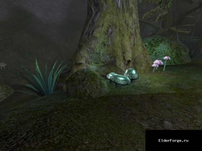 Обложка мода: Светящиеся растения для Morrowind – реалистичное освещение флоры