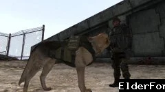 Обложка мода: Такт-стиль для Псины в Fallout 3 – реплейсер внешнего вида