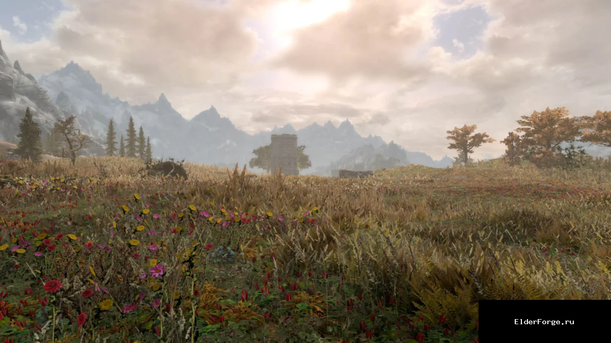 Обложка мода: Tamriel Reloaded HD – полное HD‑ретекстурирование для Skyrim SE/AE