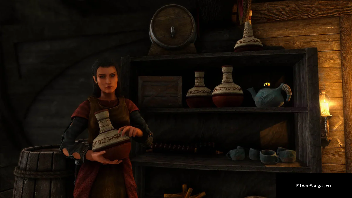 Обложка мода: Товары со всего Тамриэля с русской озвучкой – Skyrim SE (WuzVoice)
