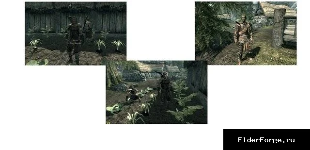 Обложка мода: Три новых компаньона в Riverwood – мод для Skyrim Legendary Edition