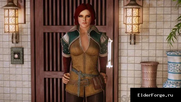 Обложка мода: Трисс Меригольд LE / Triss Merigold Custom Voiced Follower