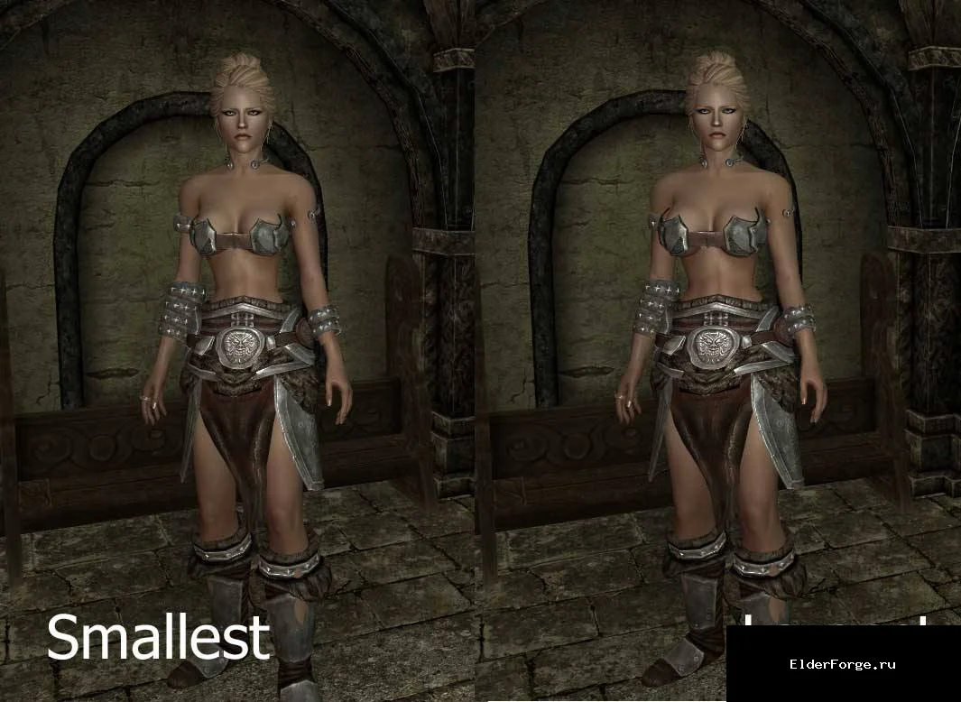 Обложка мода: Тсун — женская броня для CBBE в Skyrim LE