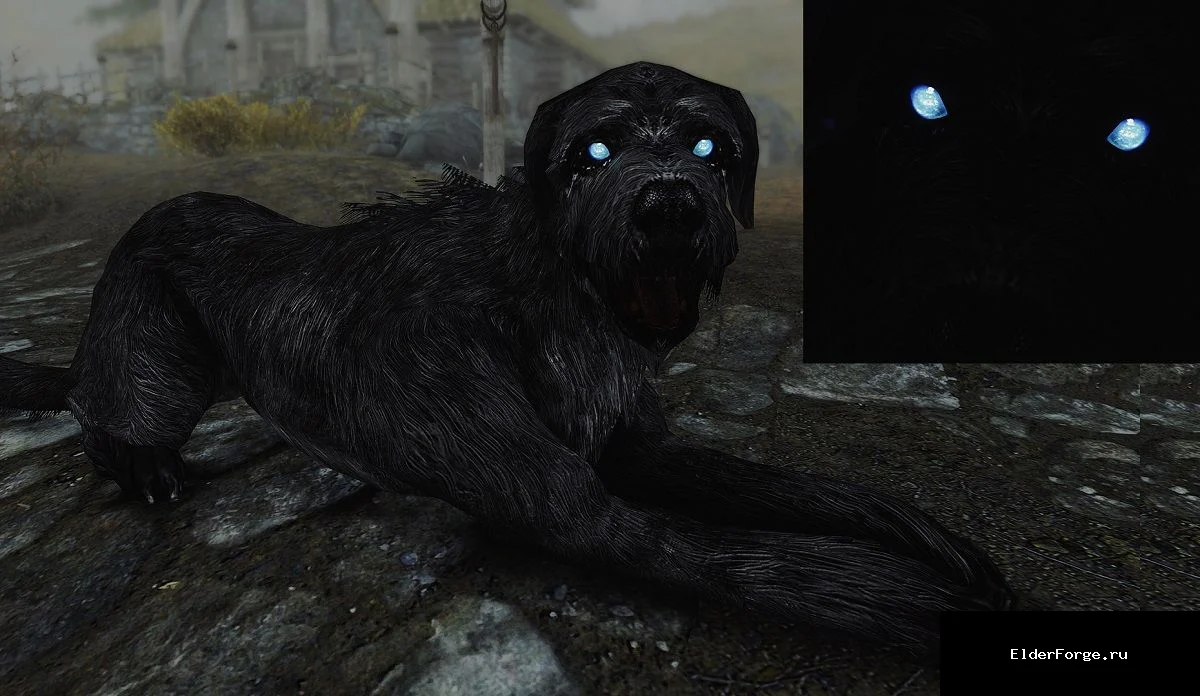 Обложка мода: Уникальный Барбас — эксклюзивные текстуры для Барбаса в Skyrim LE