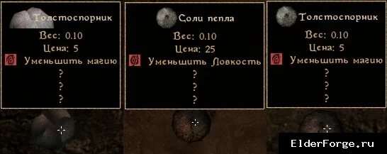 Обложка мода: Уникальный внешний вид ингредиента «Толстоспорник» для Morrowind