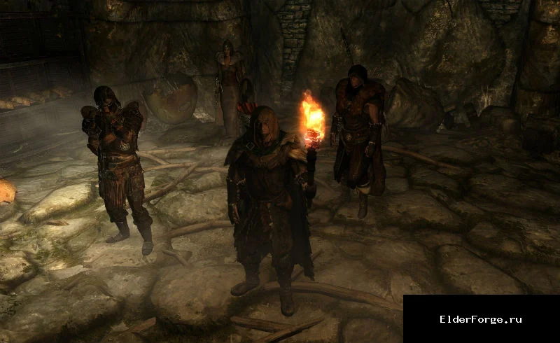 Обложка мода: Управление компаньонами в Skyrim SE‑AE: расширенный Follower Mod