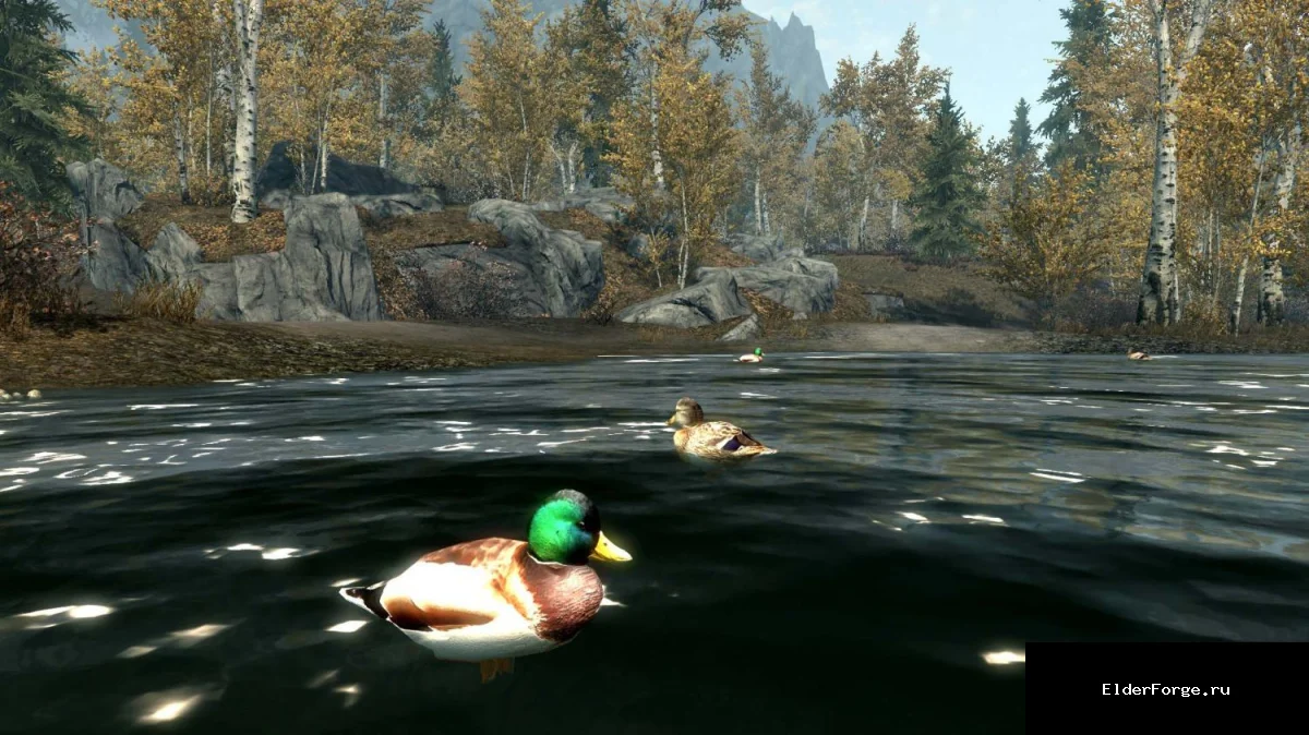 Обложка мода: Утки и лебеди в Skyrim LE – новые водоплавающие существа и кулинарные ингредиенты