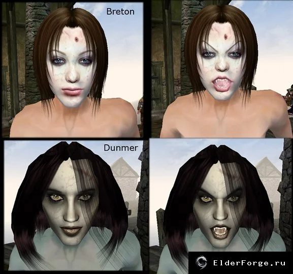 Обложка мода: Vampire Vixens – новые женские вампирские лица для Morrowind