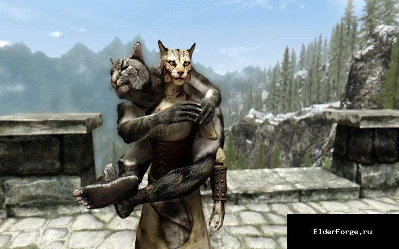 Обложка мода: Вещи из Каджита — новые аксессуары из шкуры каджита для Skyrim Legendary Edition