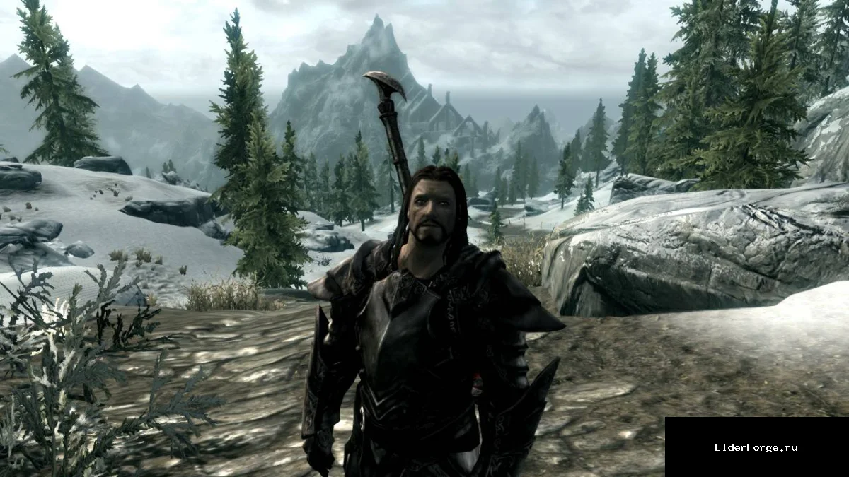 Обложка мода: Хакон Стальной Клык — новый компаньон для Skyrim LE