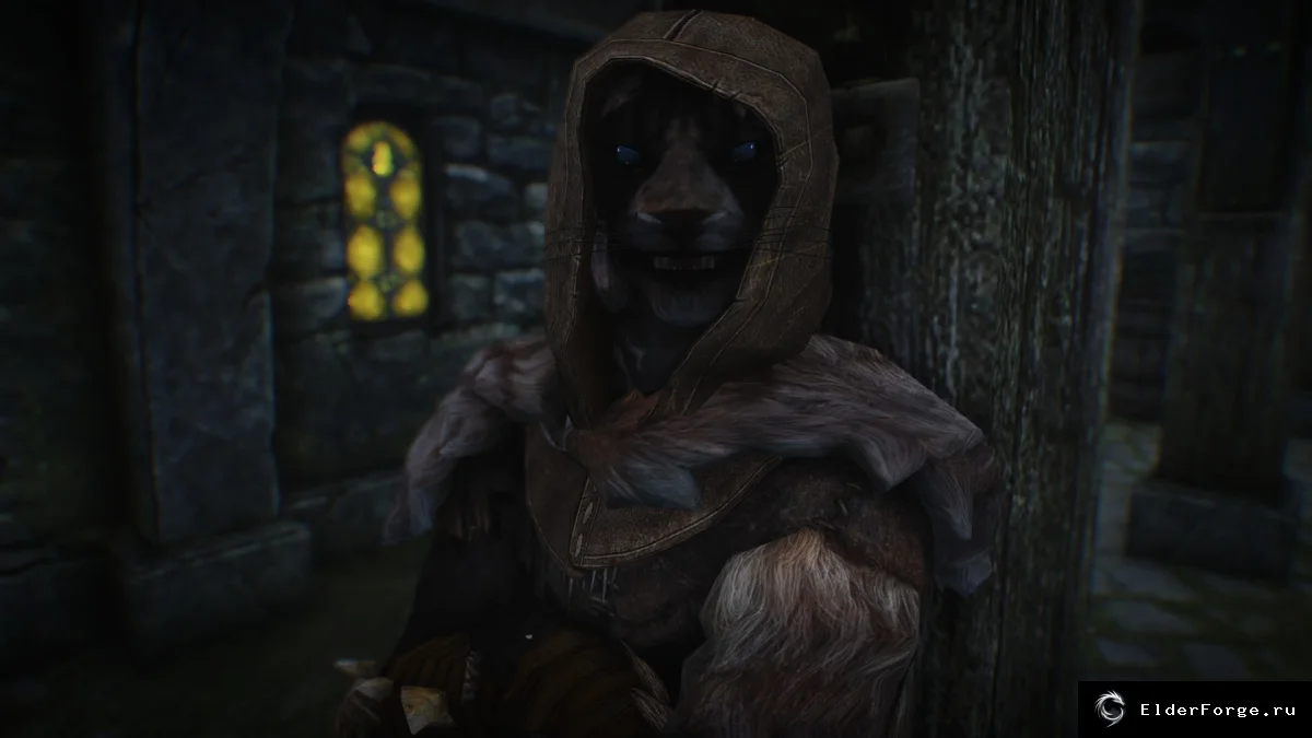 Обложка мода: Русская озвучка Хроники МакМиллера для Skyrim LE