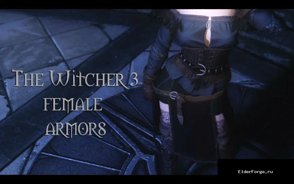 Обложка мода: Женская одежда Ведьмак 3 | Witcher 3 Female Armors LE