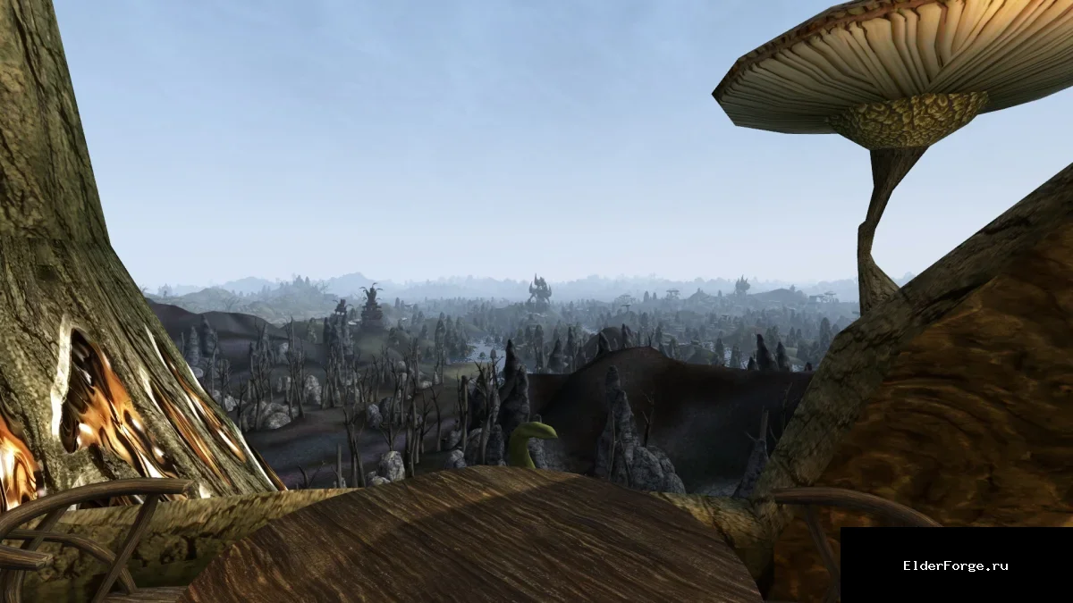 Обложка мода: Zoom – настраиваемый режим приближения для Morrowind