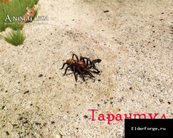 Скриншот мода №3