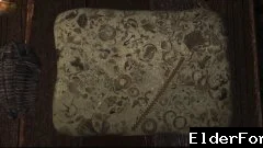 Скриншот мода №1