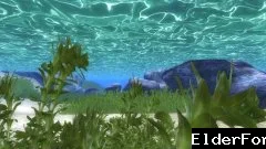 Обложка мода: Lush and Gaudy Water – Улучшенная вода в Oblivion: яркие реки и озёра