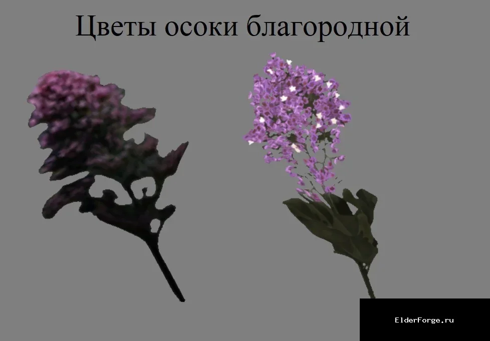 Скриншот мода №1