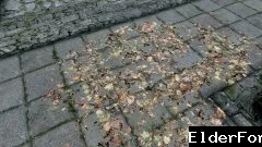 Скриншот мода №7