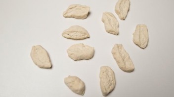 Step 5